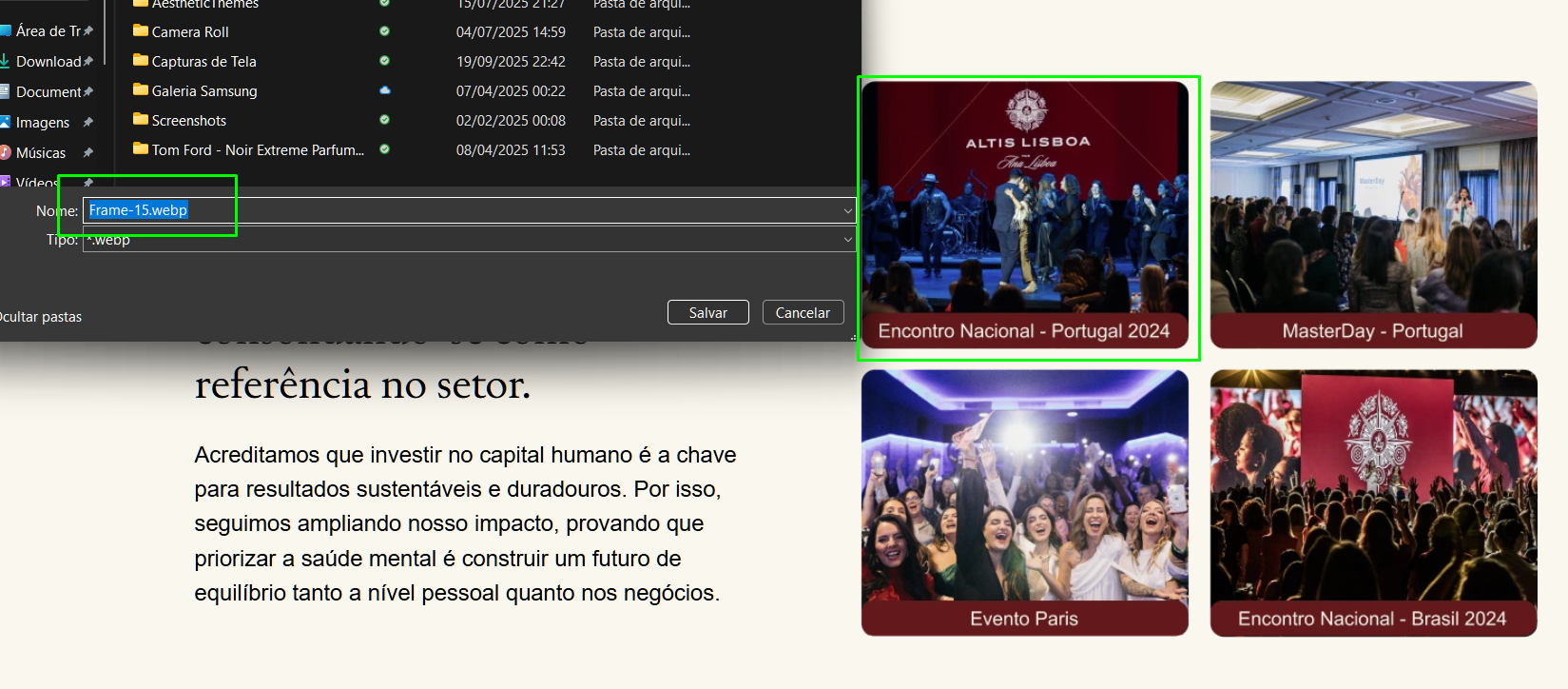 Imagens sem Alt Text